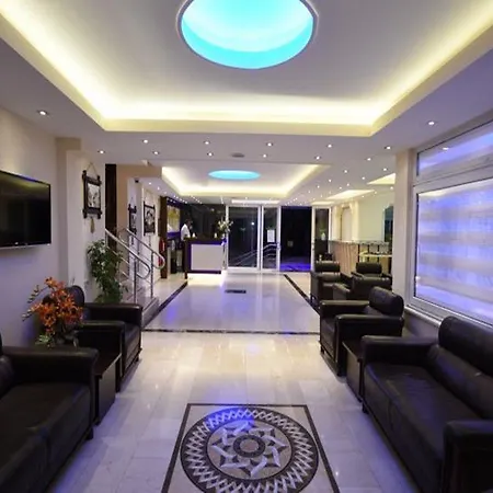 Hotel Muz