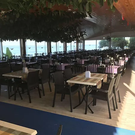 慕兹酒店 2* 阿拉尼亚