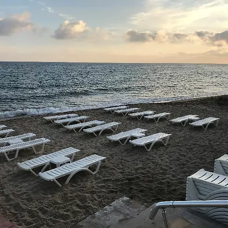 Muz 2* Αλάνια
