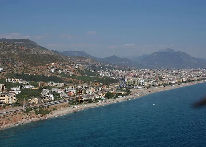 Muz Alanya